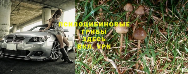 mix Алексин