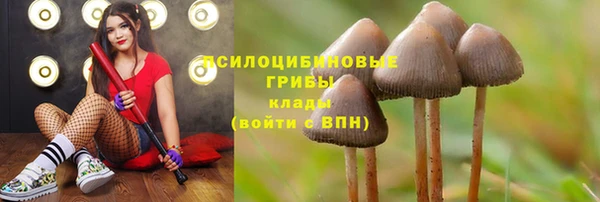 mix Алексин