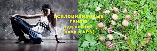 mix Алексин