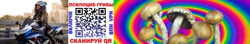 Псилоцибиновые грибы Psilocybine cubensis Тавда