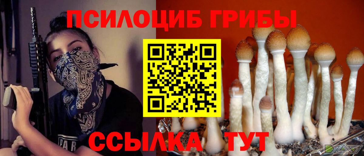 Тавда  Галлюциногенные грибы прущие грибы  Псилоцибиновые грибы GOLDEN TEACHER  Вход с VPN 